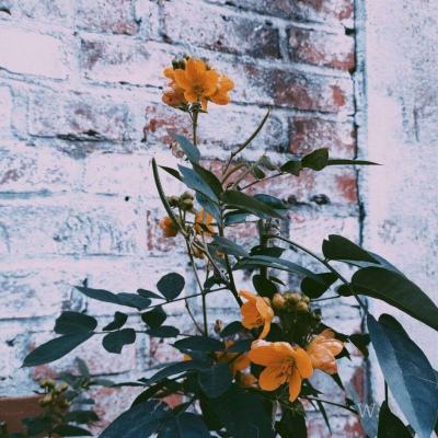 pg麻将胡了下载app下载截图